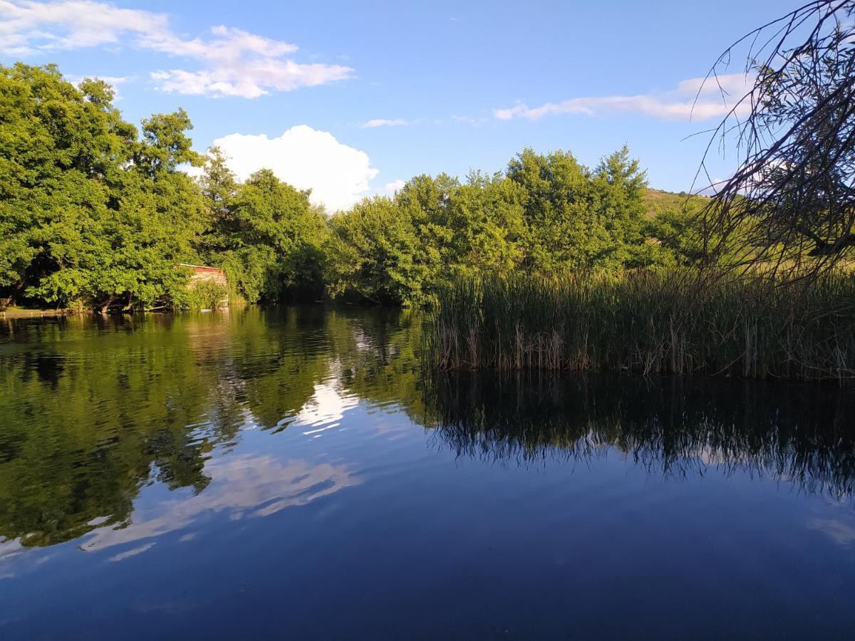 Marena B&B Pogradec Ngoại thất bức ảnh