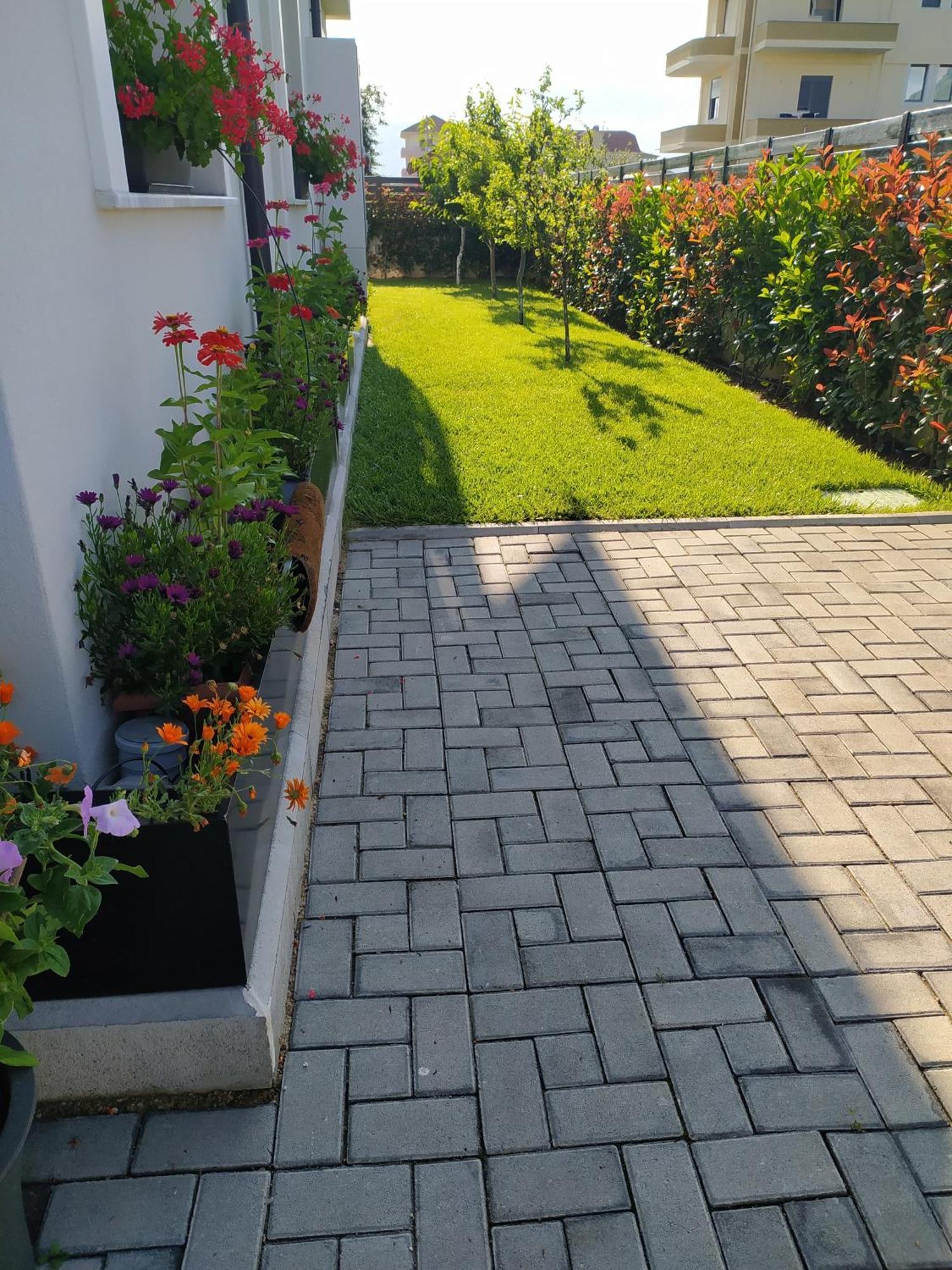 Marena B&B Pogradec Ngoại thất bức ảnh