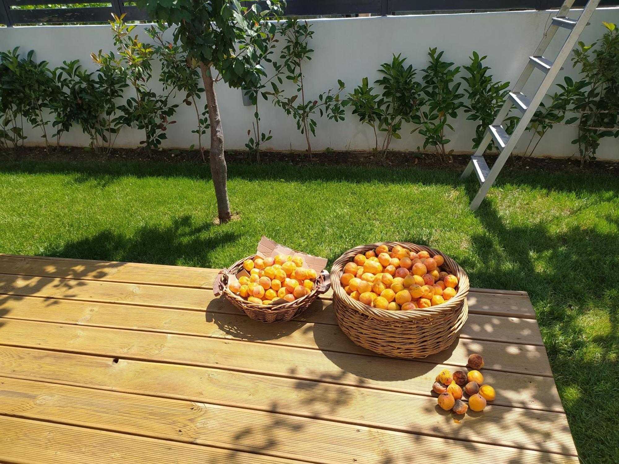 Marena B&B Pogradec Ngoại thất bức ảnh